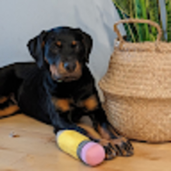 Meet your Posher, Natasha - Picture 1 of 1